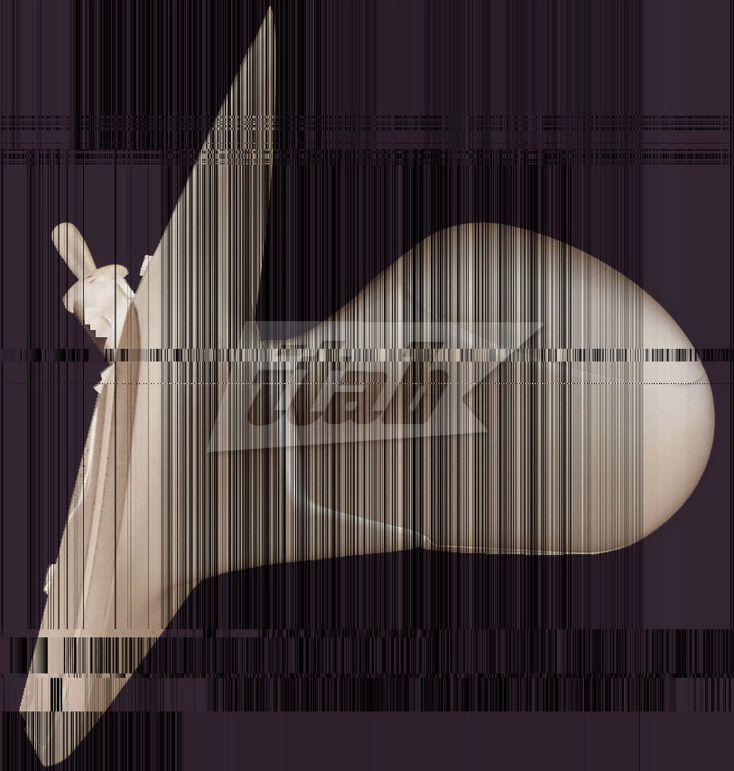 RTVR1555AV