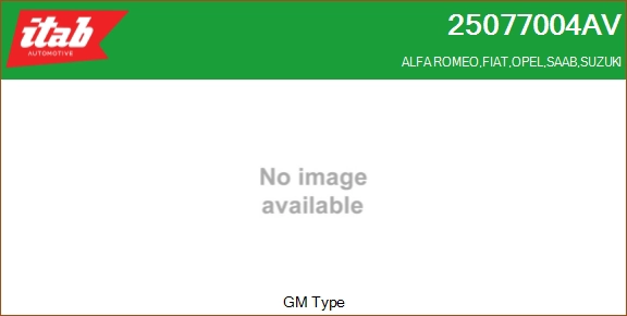 25077004AV