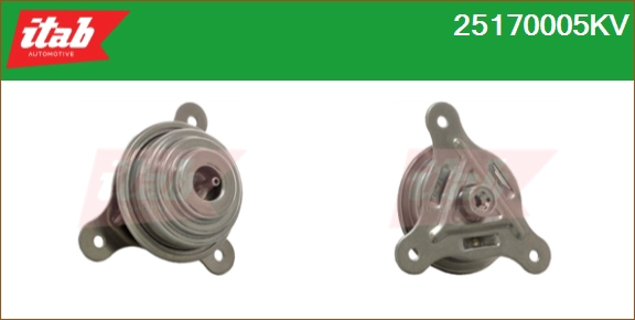 25170005KV