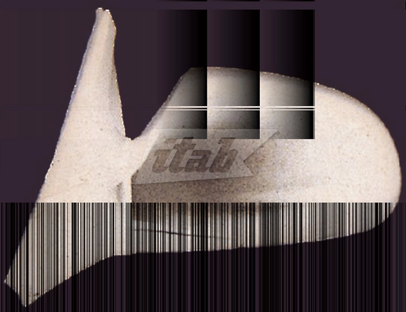 RTVR2559AV