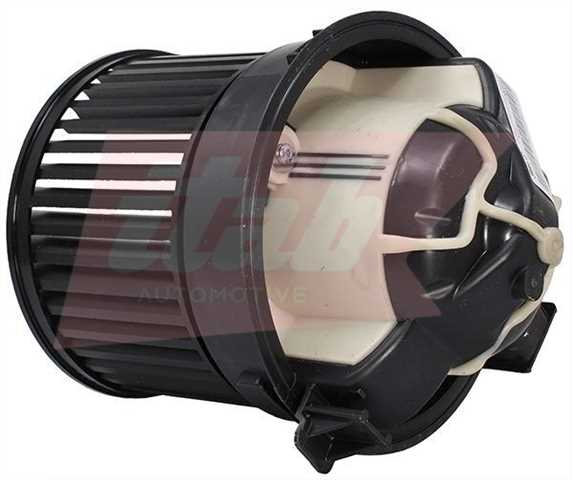 50070043OV