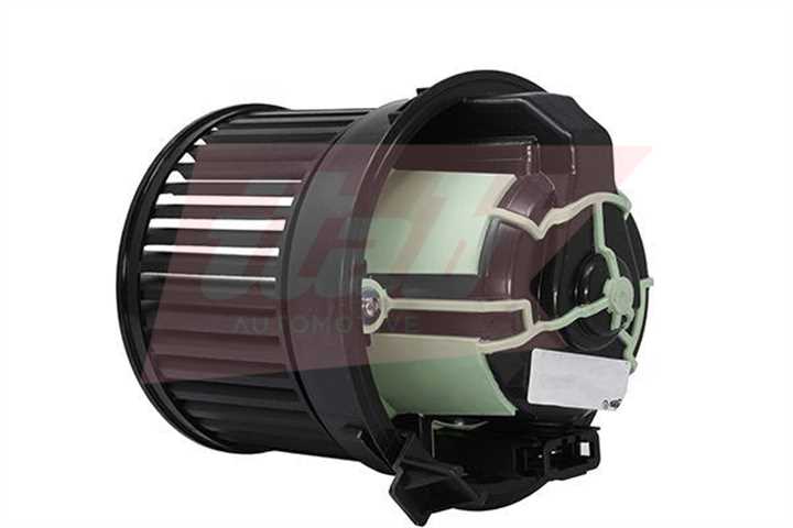 50070038OV