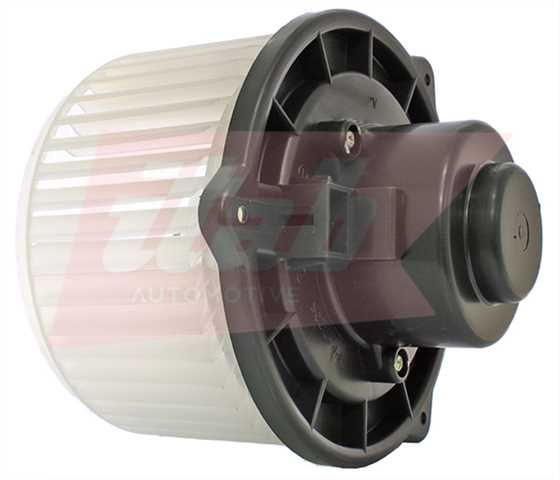 50077031OV