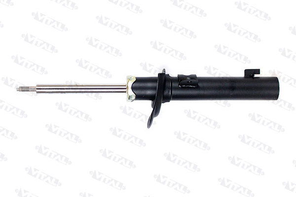 C2S15994