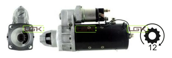 331376