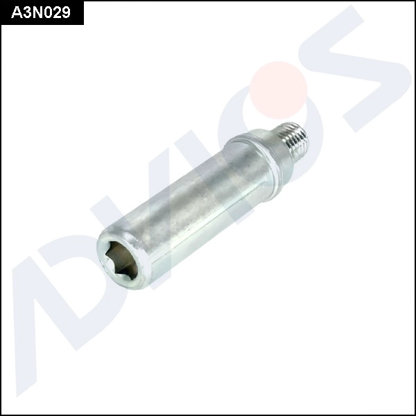 A3N029