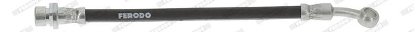 FHY3389