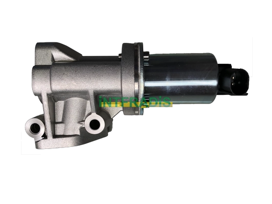25605