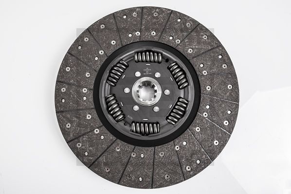 299568