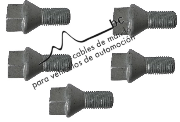 92081