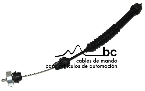 504031