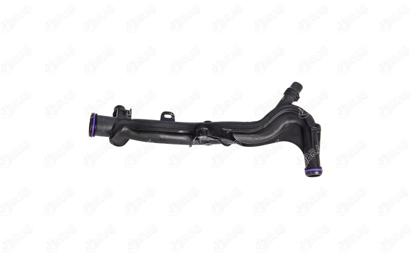 GM3639518
