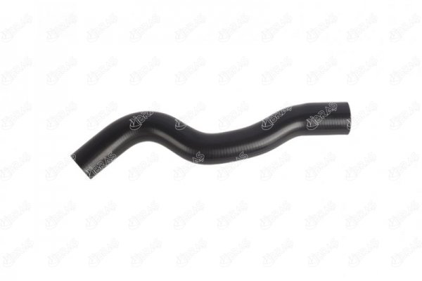 31501