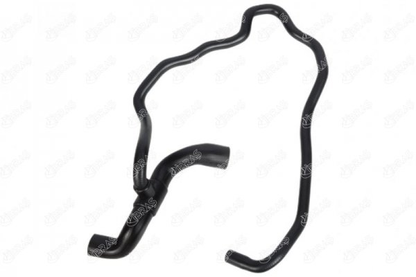 21556