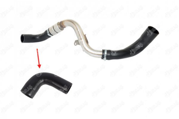 19918