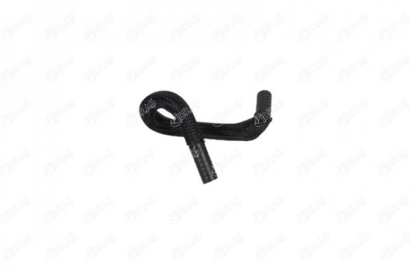 21264