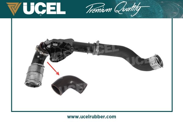 16109