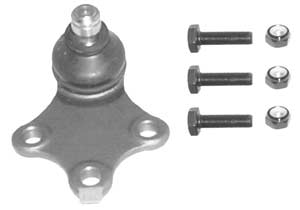RS19