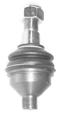 RS10787