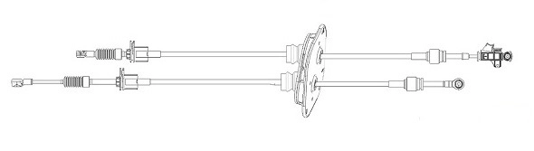 CC00560