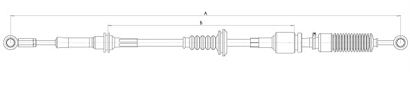 CC00584
