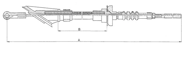 CF01252