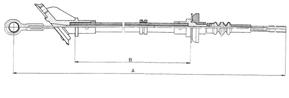CF01748