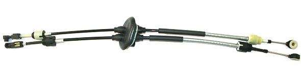 CC00260