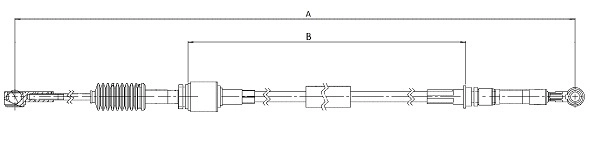 CC00496
