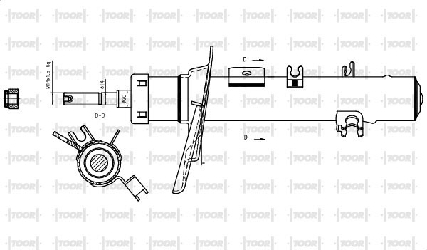 SG15681