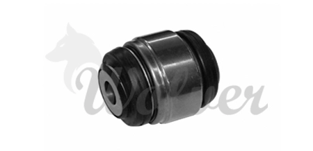SP529080