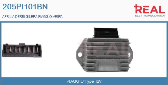205PI101BN
