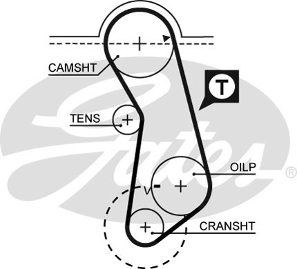 T017
