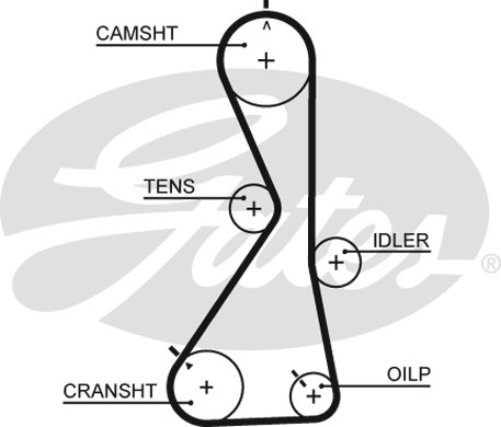 T1021