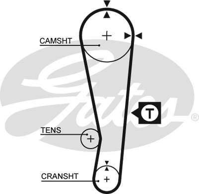 T123