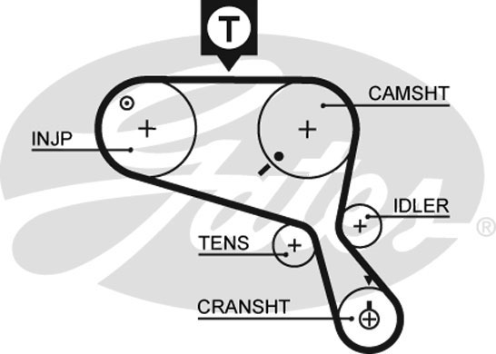 T1031