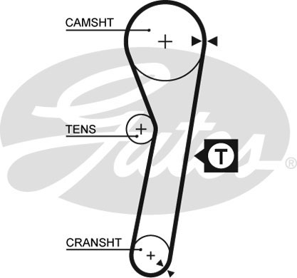 T181
