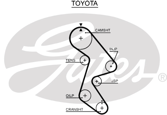 T087
