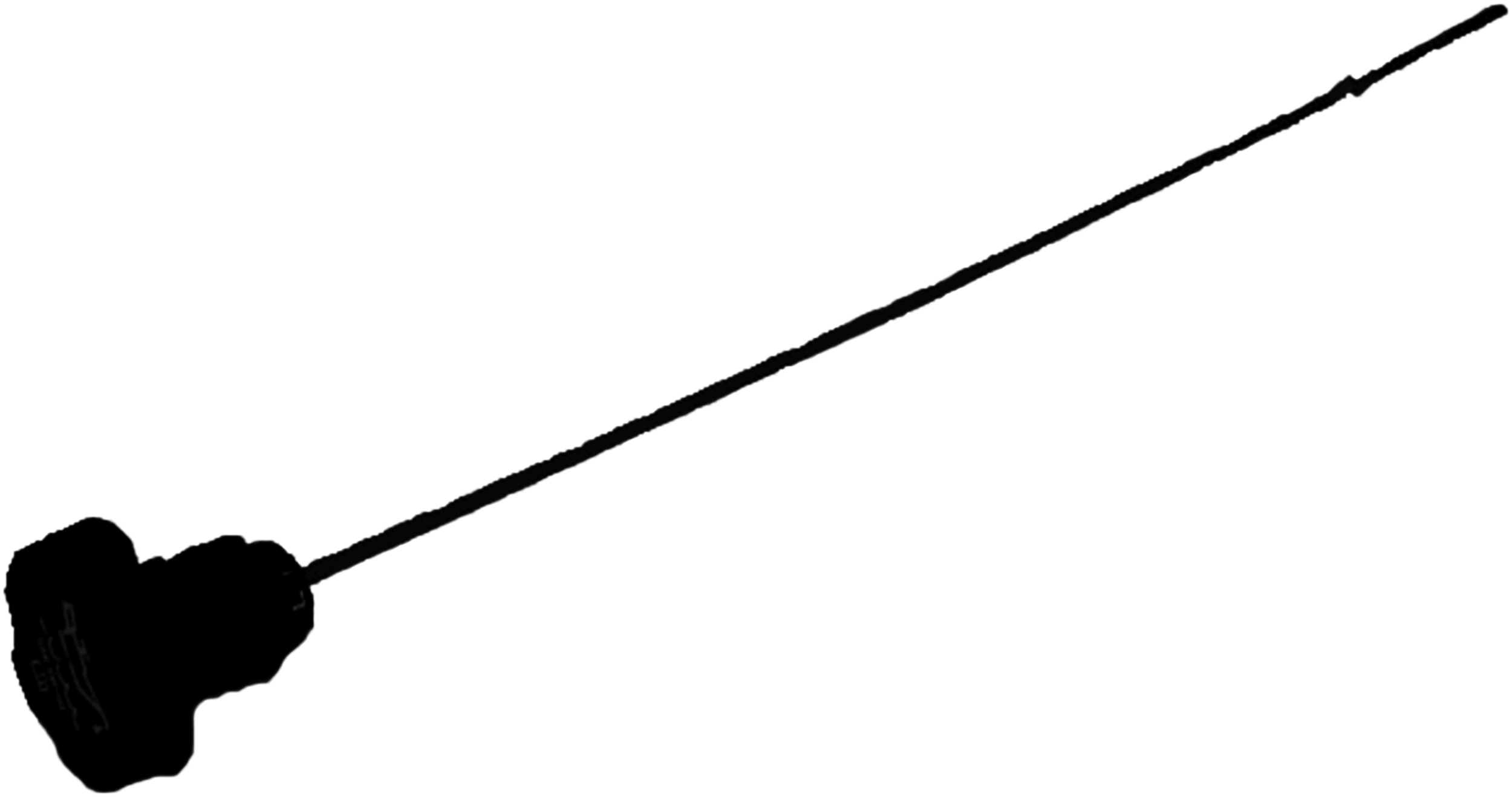 31124