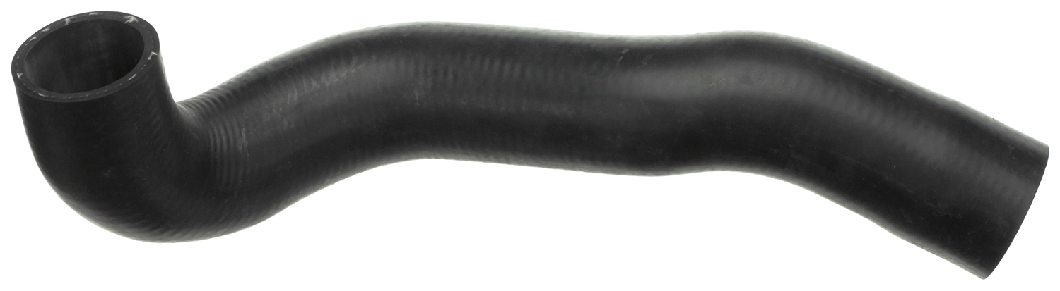 24251