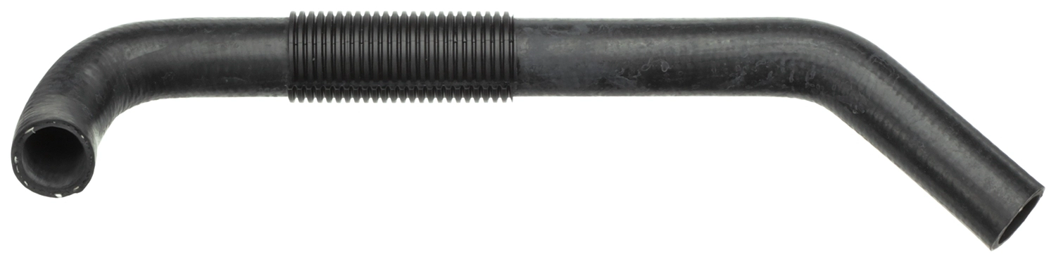 21864