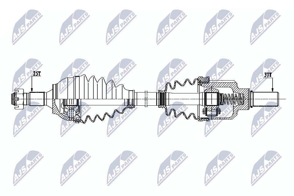 NPW-CT-077