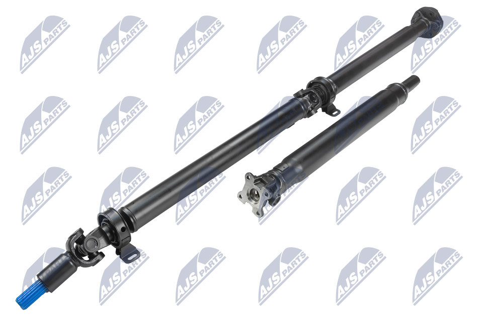 NWN-FR-009