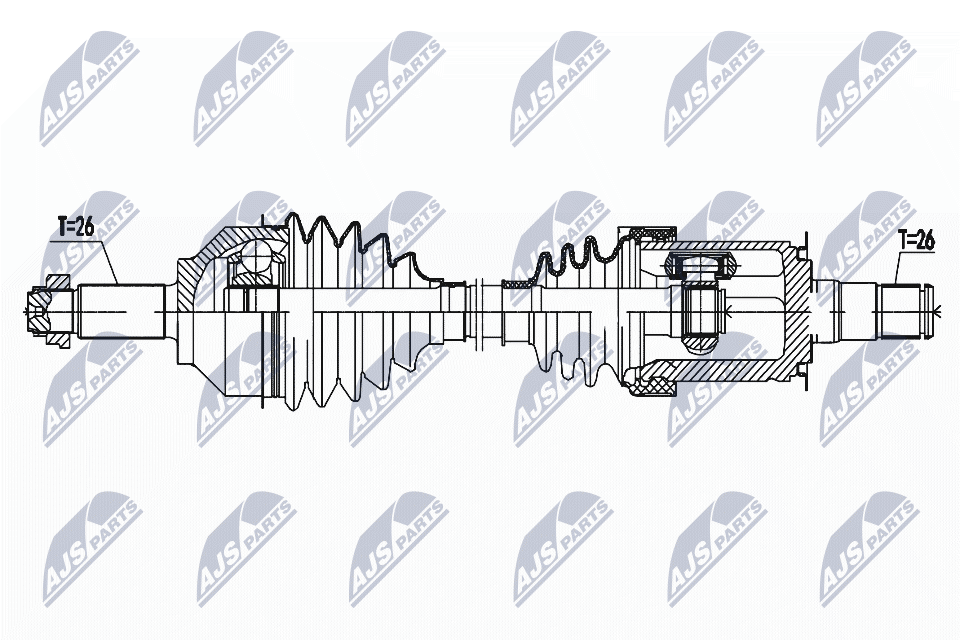 NPW-BM-161