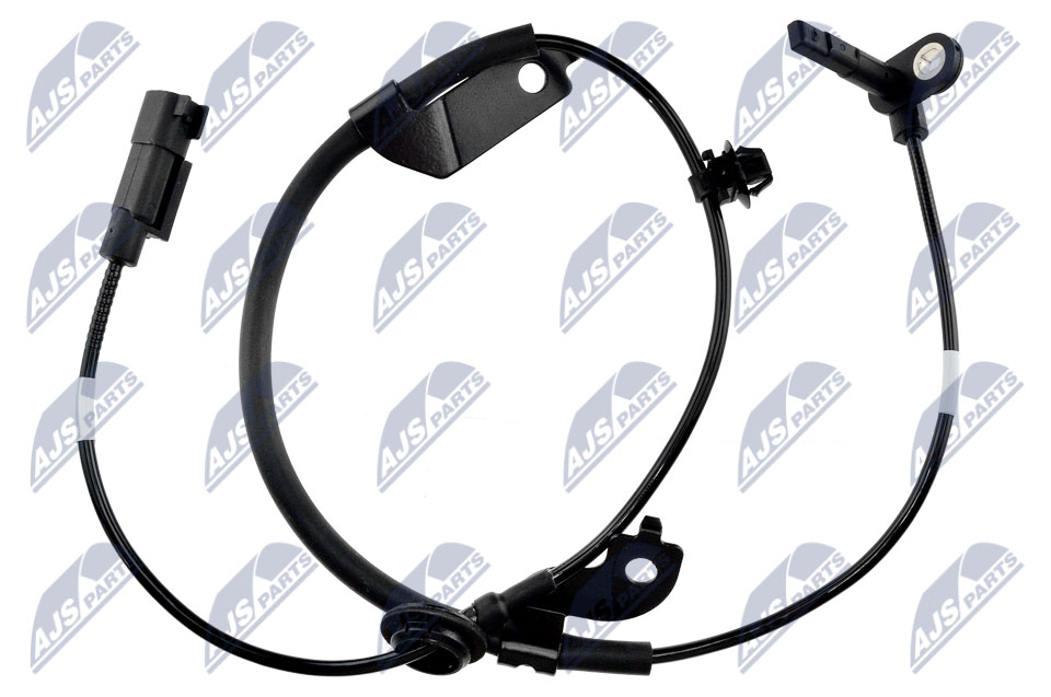 HCA-MS-019
