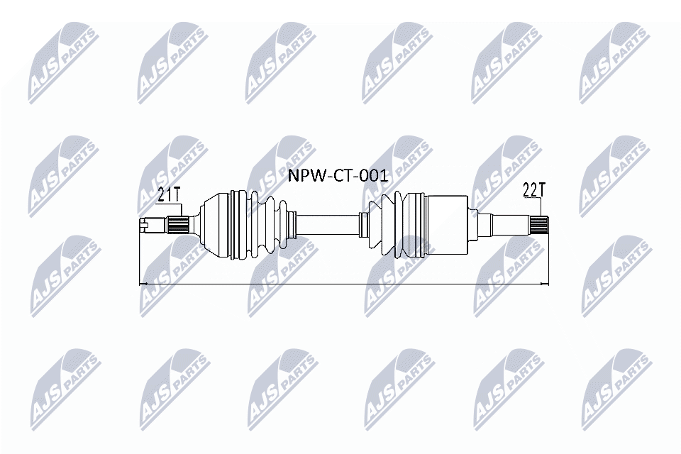NPW-CT-001