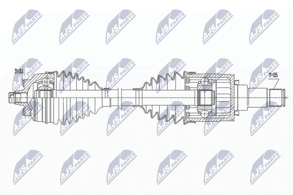 NPW-BM-168