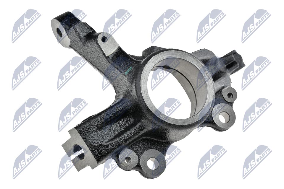 ZZP-PL-009