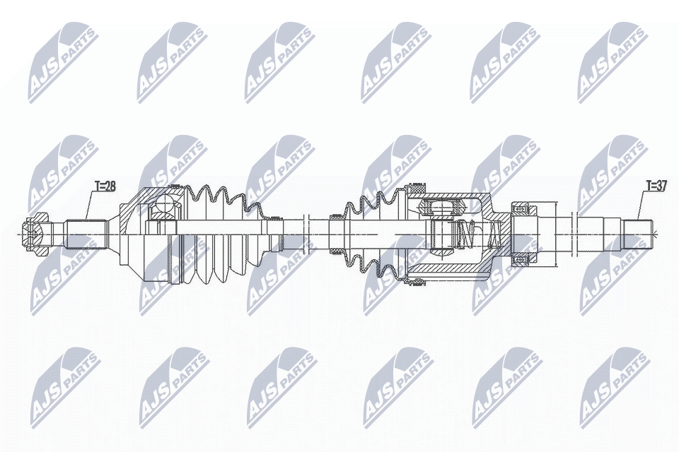NPW-CT-099