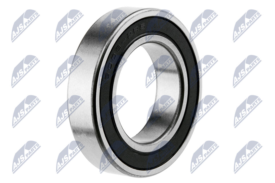 NLP-PL-001